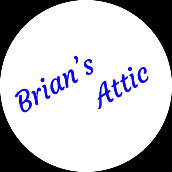 briansattic